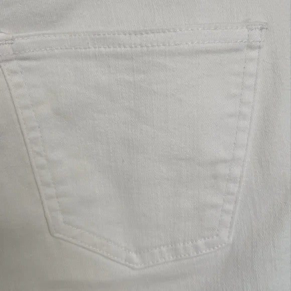 Pistola Skinny Ankle Denim Jeans Size 27 P6822FTN-SLO Stretchy3